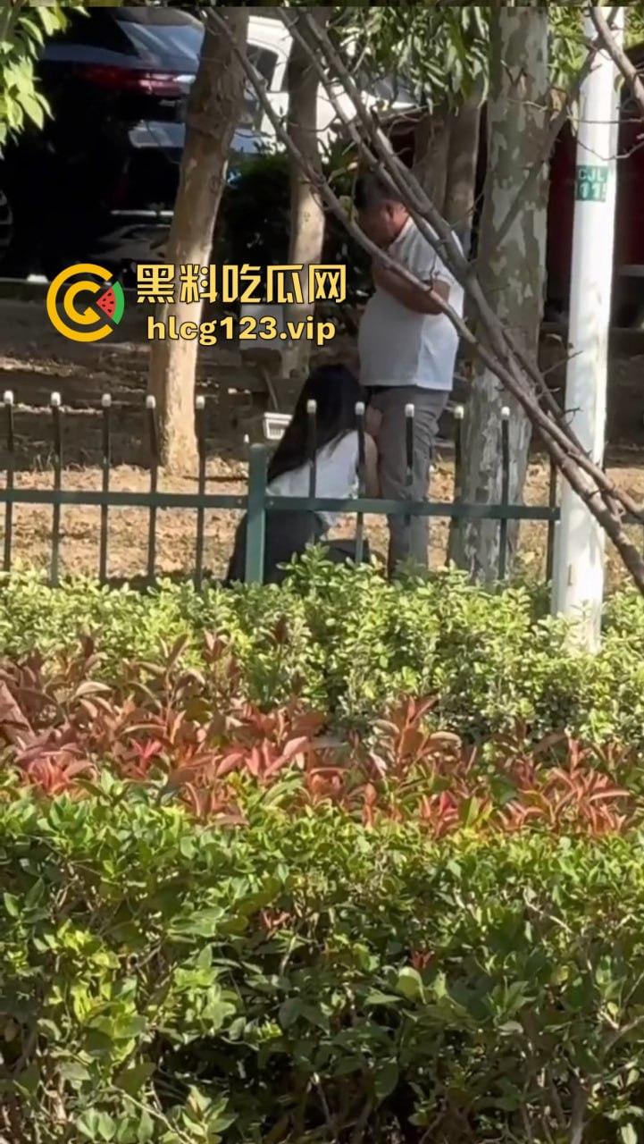 安徽芜湖长江南路惊现大尺度现场！为爱马仕鳄鱼皮，女的当街给口，鸡瘾犯了拼了命！  第3张