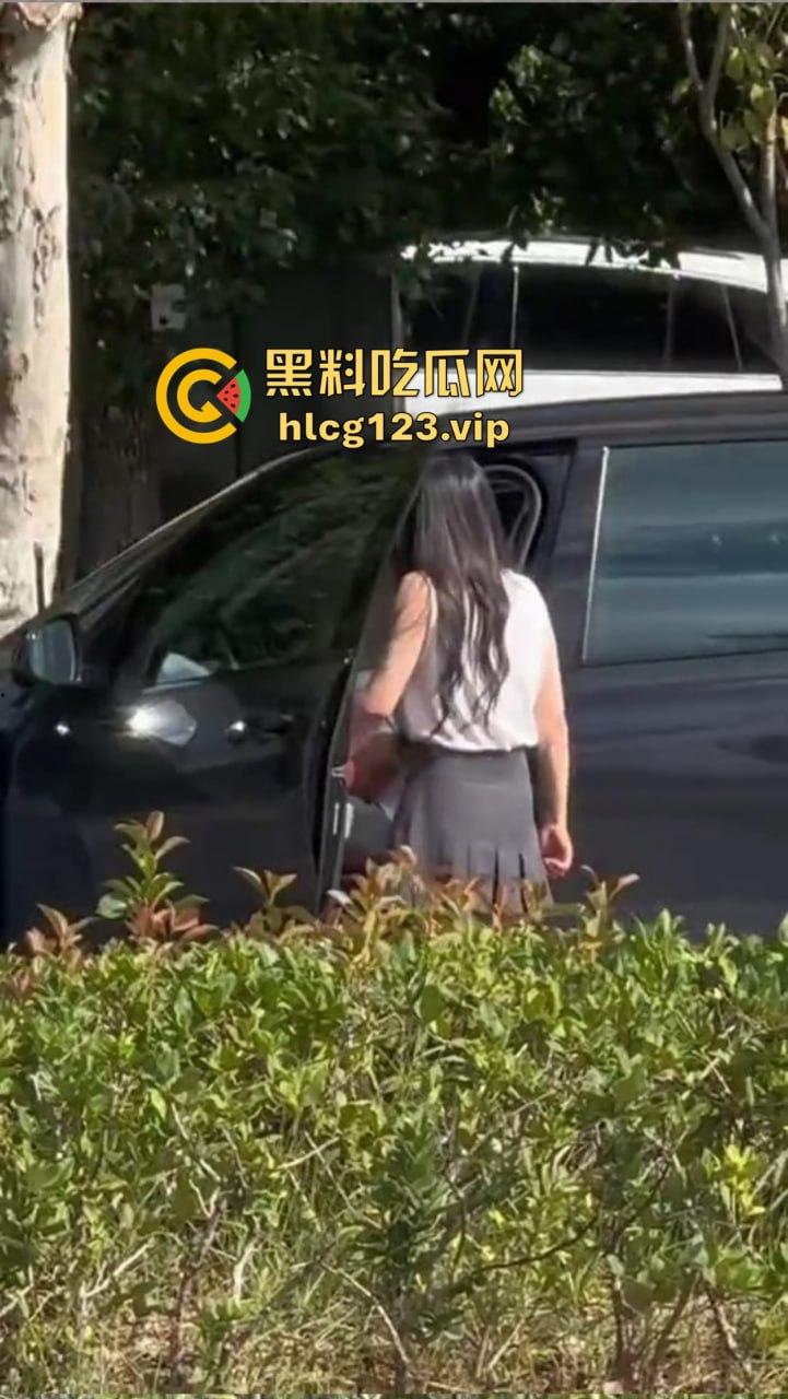 安徽芜湖长江南路惊现大尺度现场！为爱马仕鳄鱼皮，女的当街给口，鸡瘾犯了拼了命！  第5张