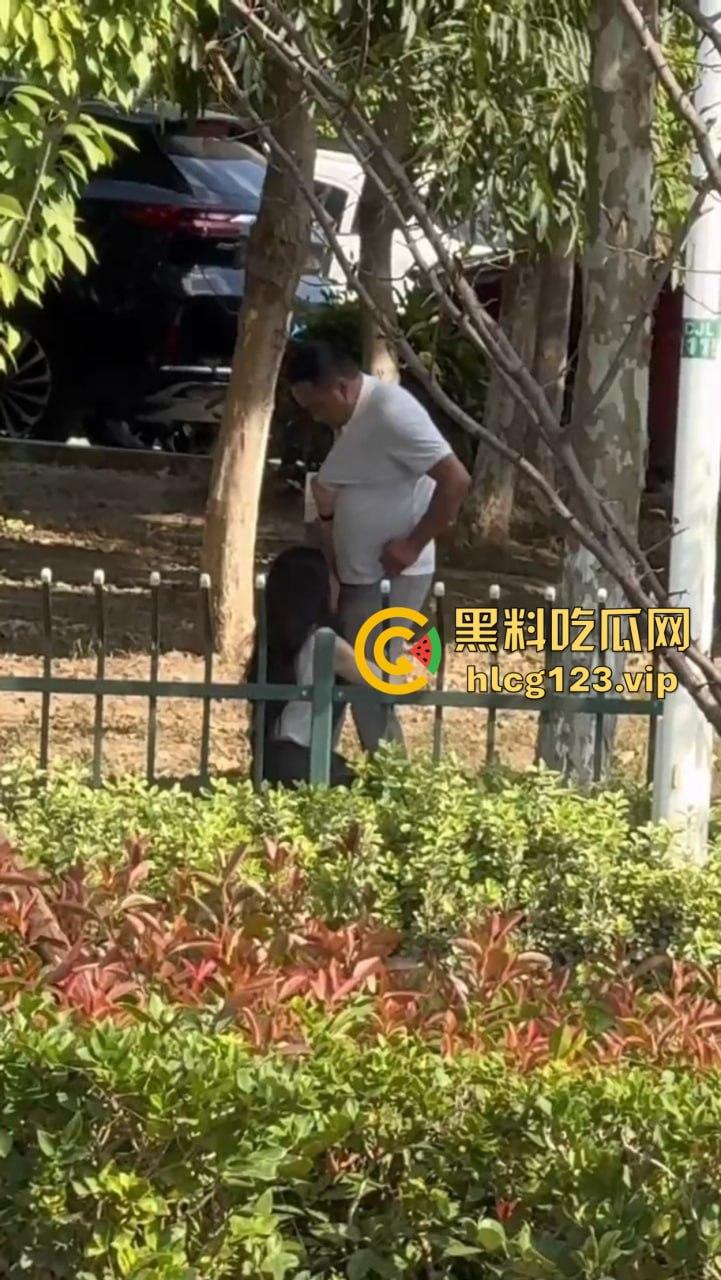 安徽芜湖长江南路惊现大尺度现场！为爱马仕鳄鱼皮，女的当街给口，鸡瘾犯了拼了命！  第7张