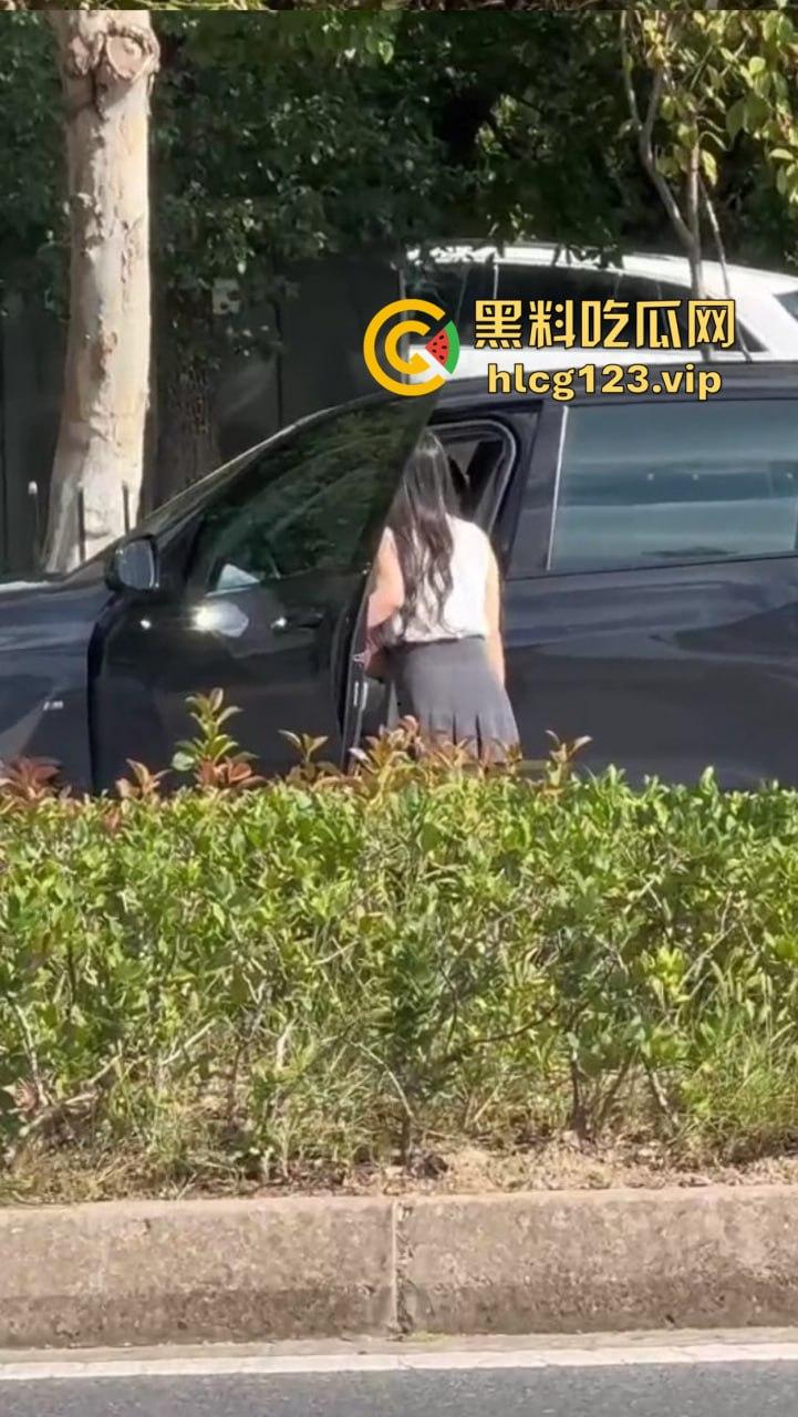 安徽芜湖长江南路惊现大尺度现场！为爱马仕鳄鱼皮，女的当街给口，鸡瘾犯了拼了命！  第8张