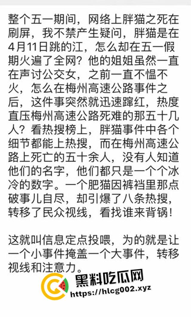 肥猫之死热度远超梅州高速惨案！工程质量问题堪忧 电车起火才是主要原因 全网没人说真话？  第2张