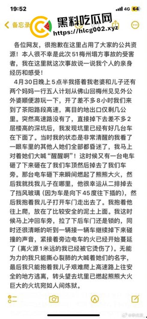 肥猫之死热度远超梅州高速惨案！工程质量问题堪忧 电车起火才是主要原因 全网没人说真话？  第4张