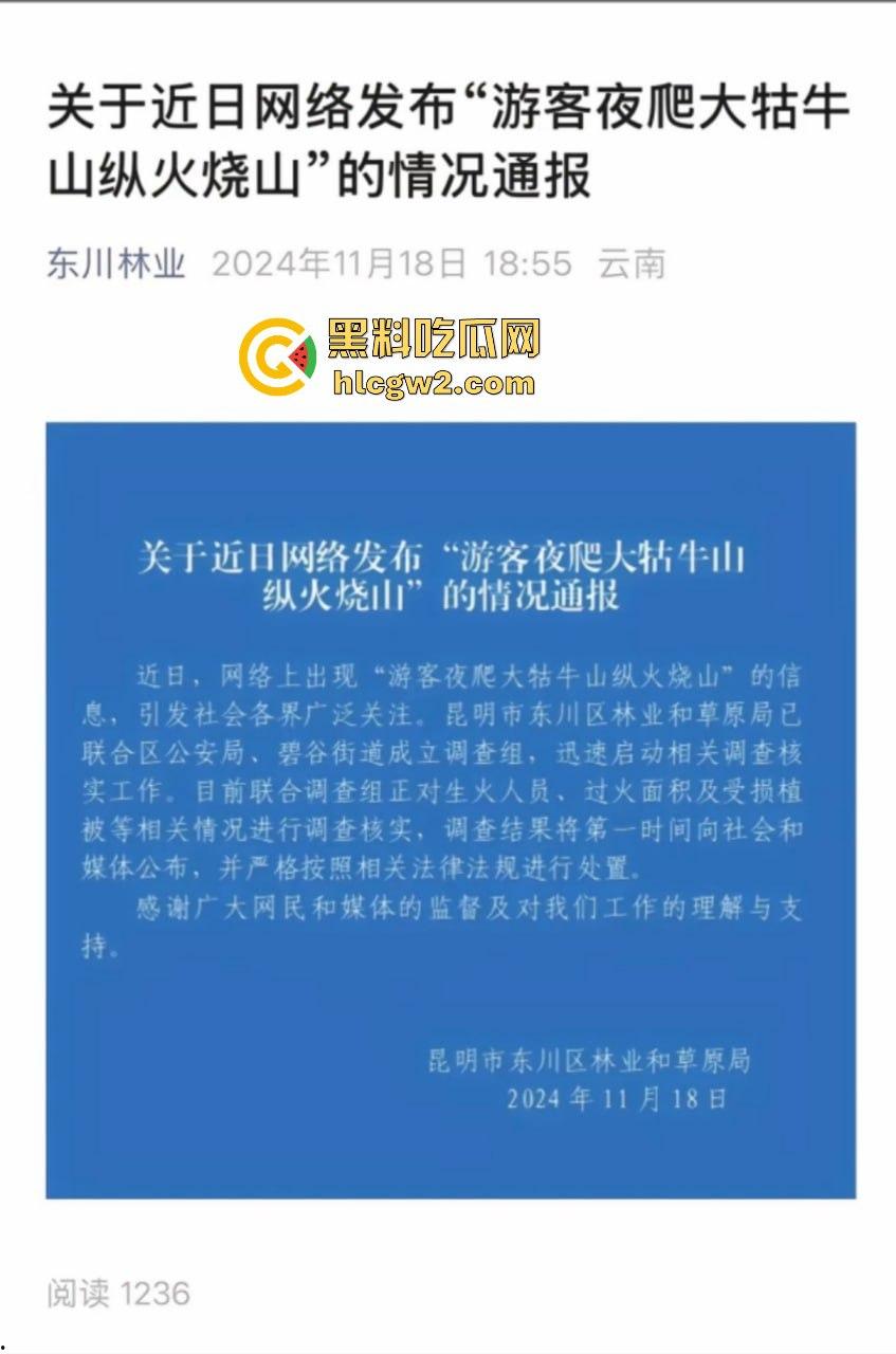 青春无售价却纵火韶山！无知大学生云南东川大牯牛山放火毁二级保护植物 杜鹃花全军覆没！  第1张