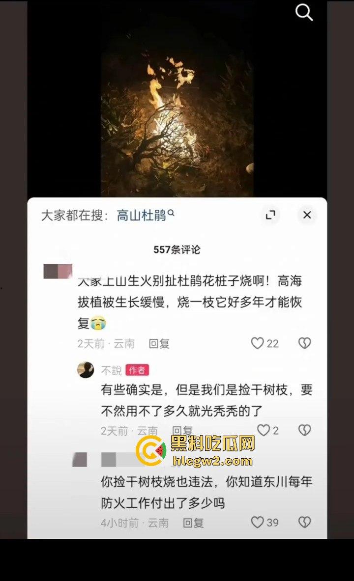 青春无售价却纵火韶山！无知大学生云南东川大牯牛山放火毁二级保护植物 杜鹃花全军覆没！  第4张