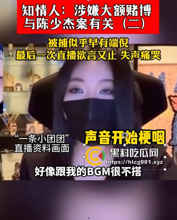 重磅！抖音千万网红【一条小团团】原名【瞿玉婷】因参与重大赌博案被捕都是其一事件，经过某大佬操作还有三陪服务！！ 涉及金额千万  第10张