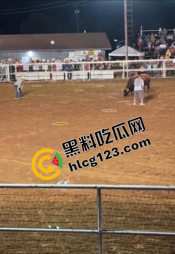 勇敢者的游戏：留在圈里拿10万美元？被牛撞一下骨折赚70万，这笔买卖真划算！  第3张
