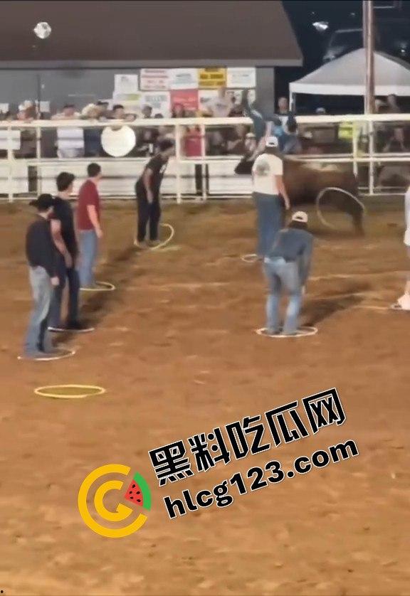 勇敢者的游戏：留在圈里拿10万美元？被牛撞一下骨折赚70万，这笔买卖真划算！  第12张