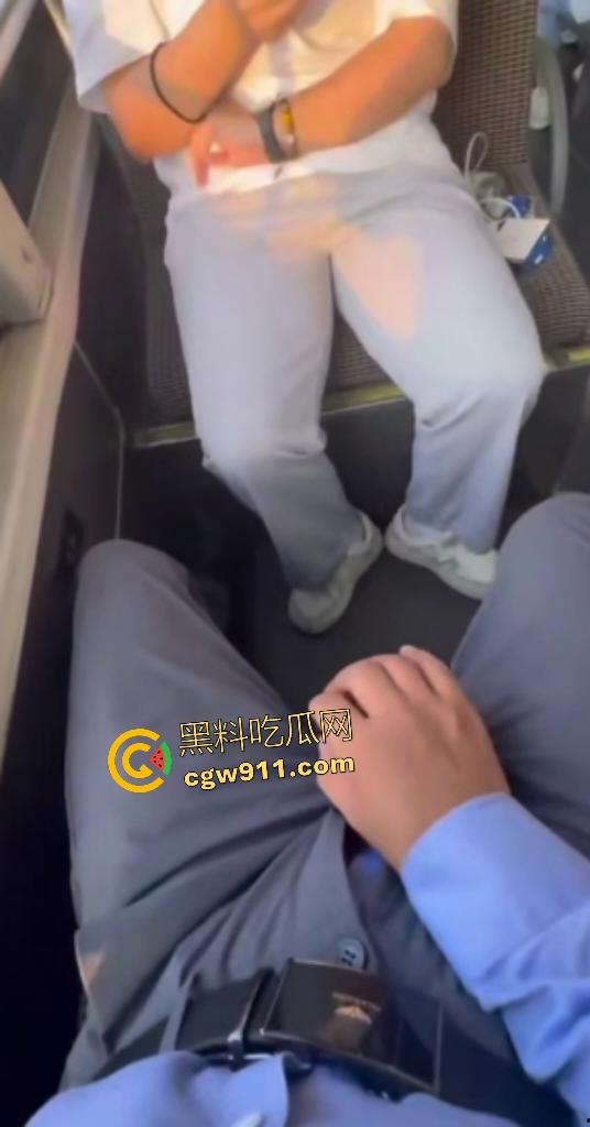 公交车惊现变态！露鸟大神对眼镜妹亮巨屌，她假装看手机实则偷录淫视频，晚上自慰有素材咯！  第4张