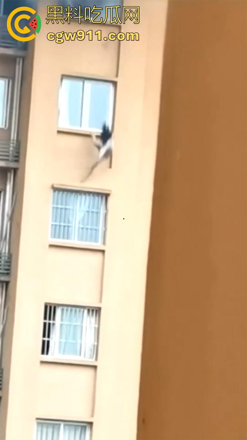 就怕蠢人灵机一动，女子和厂家理论，电瓶车电池不耐用，一气之下一脚踢翻，结果引发火灾，竟然选择跳窗？  第6张