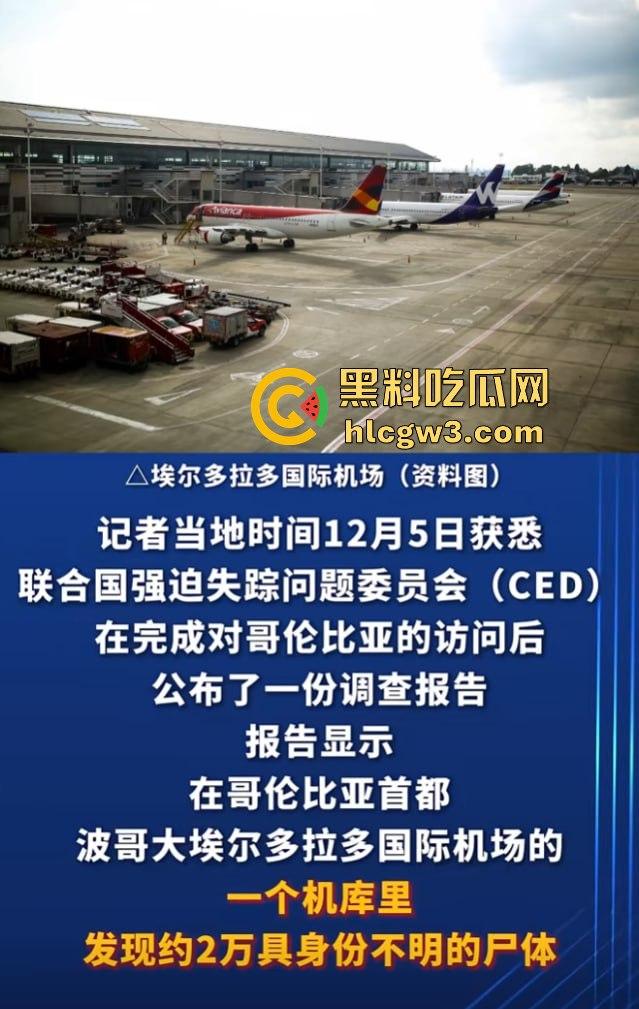 哥伦比亚波哥大国际机场惊现约2万具尸体！神秘发现震惊世界，背后藏着怎样的秘密？  第10张