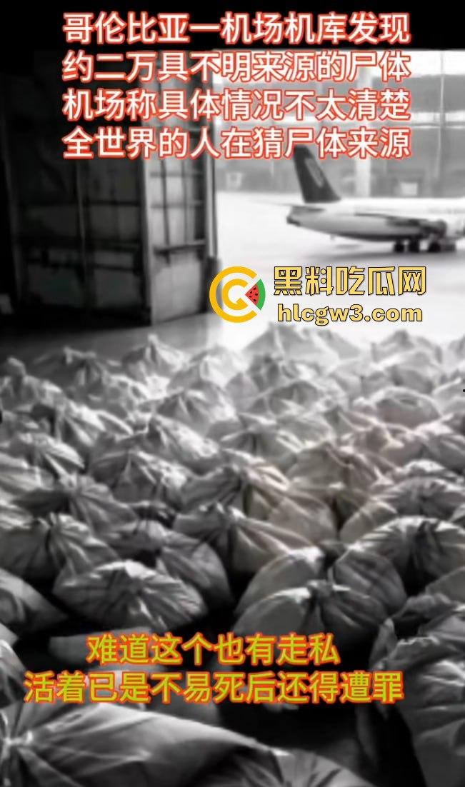 哥伦比亚波哥大国际机场惊现约2万具尸体！神秘发现震惊世界，背后藏着怎样的秘密？  第19张