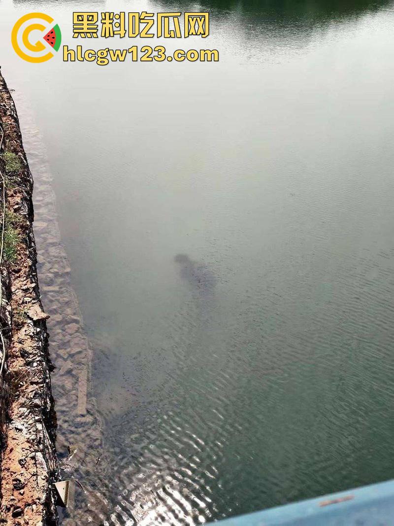 湖北武汉学生坠湖自杀，中国地质大学未来城校区，因女友出轨想不开，竟跳湖自尽遗体已被打捞！  第6张