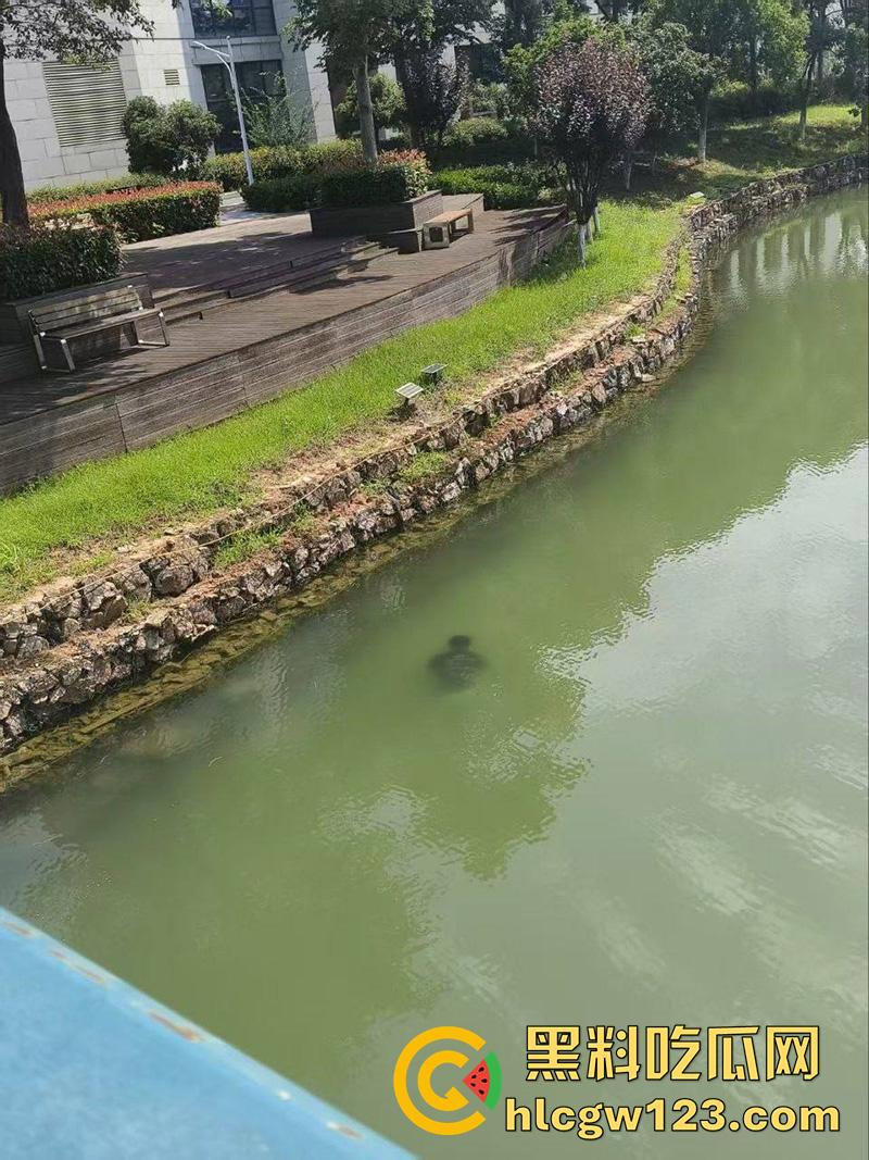 湖北武汉学生坠湖自杀，中国地质大学未来城校区，因女友出轨想不开，竟跳湖自尽遗体已被打捞！  第7张