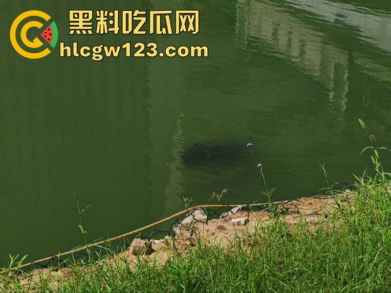 湖北武汉学生坠湖自杀，中国地质大学未来城校区，因女友出轨想不开，竟跳湖自尽遗体已被打捞！  第8张