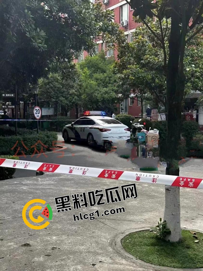 四川托普信息技术职业学院 在校学生生孩子扔垃圾桶被发现 还是被操流产的 真地狱开局  第4张