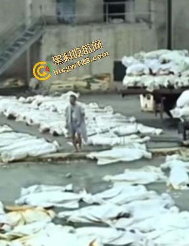 海地“绝命毒师”杀黑帮40人？掺杀虫剂当馅饼毒杀灭共生帮，自首竟没被抓还被政府奖励钱！  第9张