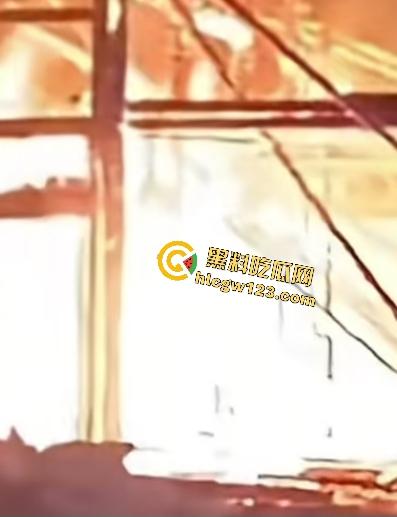 海地“绝命毒师”杀黑帮40人？掺杀虫剂当馅饼毒杀灭共生帮，自首竟没被抓还被政府奖励钱！  第10张