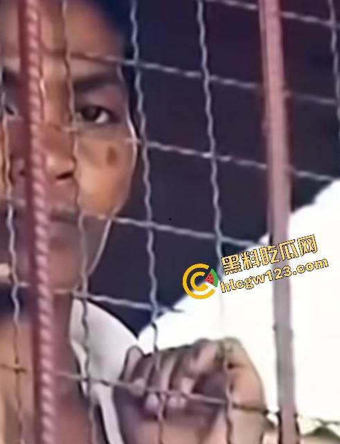 海地“绝命毒师”杀黑帮40人？掺杀虫剂当馅饼毒杀灭共生帮，自首竟没被抓还被政府奖励钱！  第11张