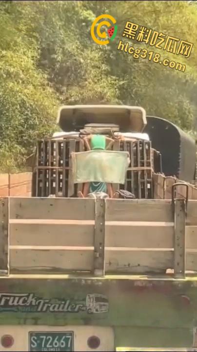 国外人真大胆，寂寞骚妹大卡车尾箱车震，拿块布挡着，娇喘高潮整个街道都听得到 ！  第2张