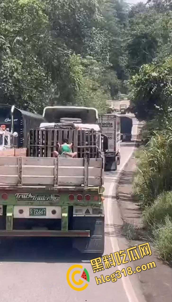 国外人真大胆，寂寞骚妹大卡车尾箱车震，拿块布挡着，娇喘高潮整个街道都听得到 ！  第4张