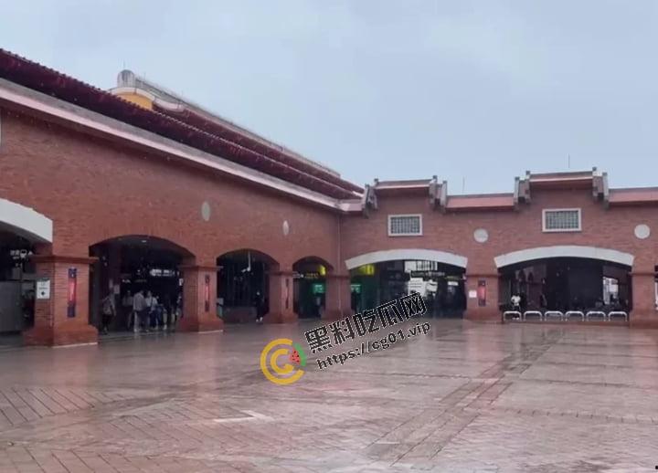 4日深夜的台北地铁 淡水站内 34岁男子和他52岁小女友 公然上演野狗街头交配  第1张