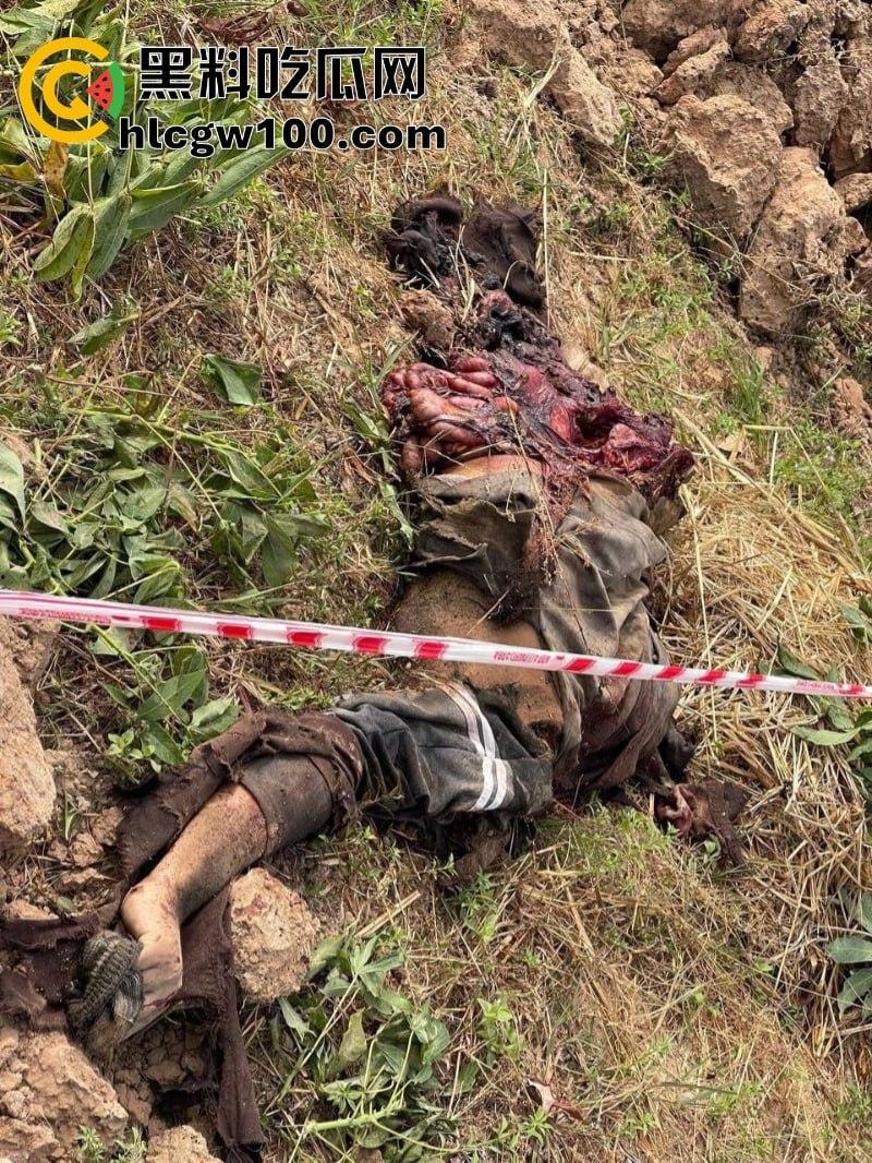 电棍烤肉天天有 鞭打枪击家常饭 东南亚园区猪仔真实生活实况流出 第2张 电棍烤肉天天有 鞭打枪击家常饭 东南亚园区猪仔真实生活实况流出 第2张