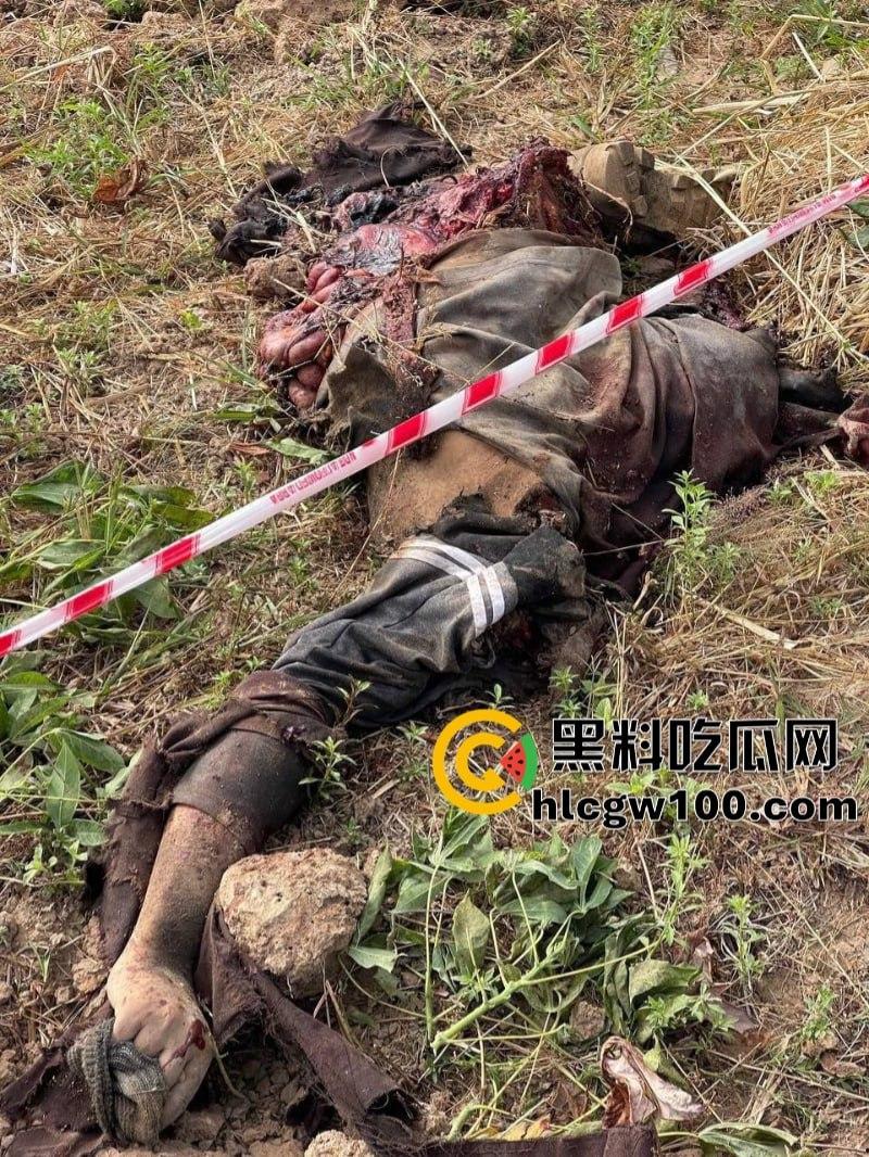 电棍烤肉天天有 鞭打枪击家常饭 东南亚园区猪仔真实生活实况流出 第6张 电棍烤肉天天有 鞭打枪击家常饭 东南亚园区猪仔真实生活实况流出 第6张