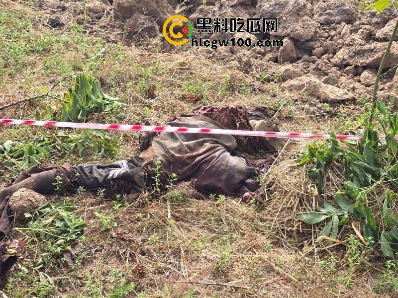 电棍烤肉天天有 鞭打枪击家常饭 东南亚园区猪仔真实生活实况流出 第7张 电棍烤肉天天有 鞭打枪击家常饭 东南亚园区猪仔真实生活实况流出 第7张