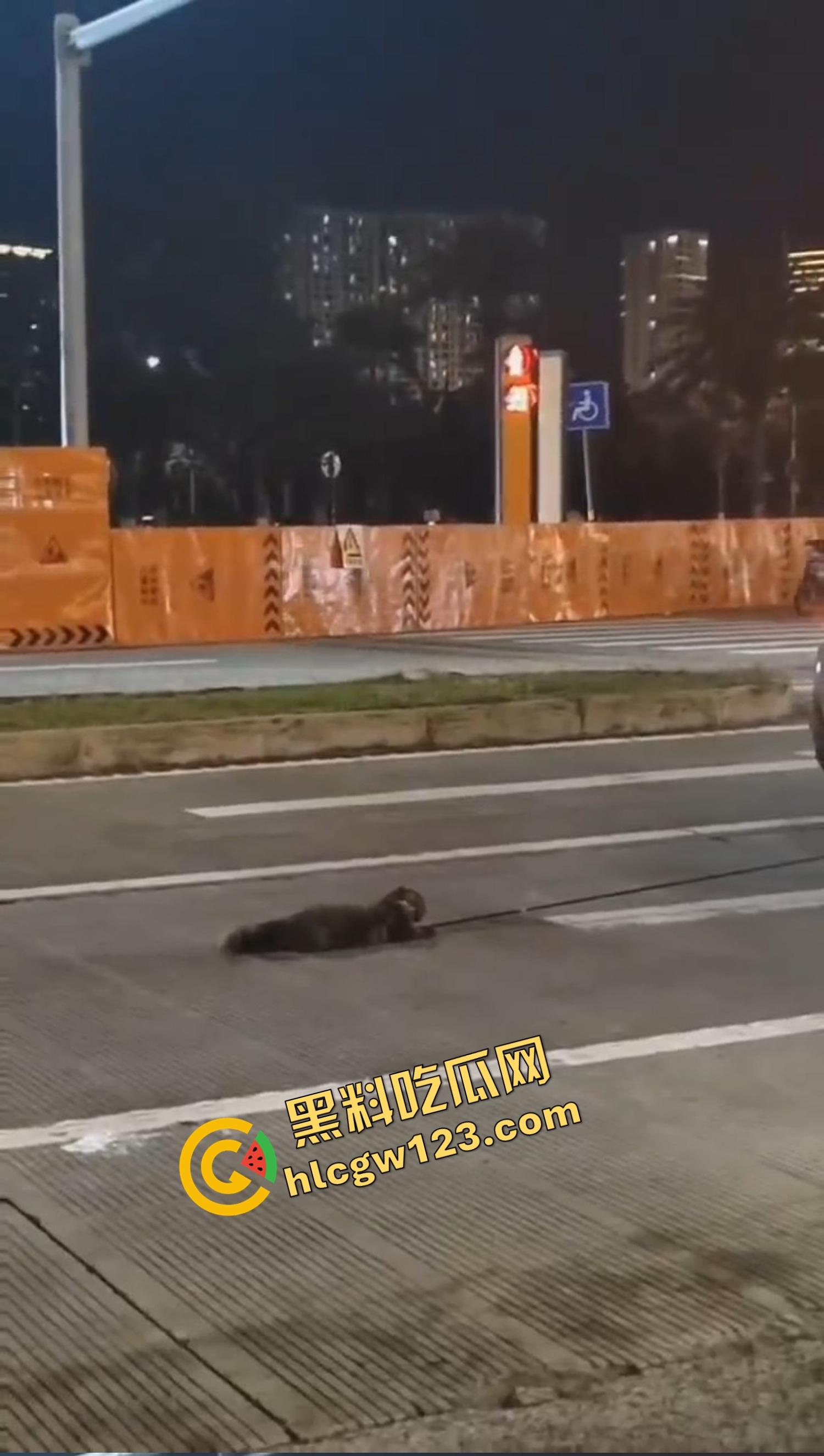 海南海口宝马车拖行小猫致死，群众当街怒吼追车，司机被围送派出所,这是碾压良知！  第1张