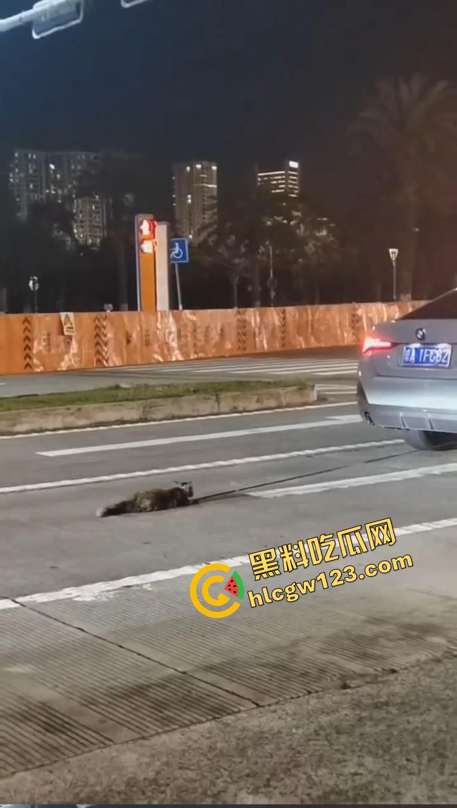海南海口宝马车拖行小猫致死，群众当街怒吼追车，司机被围送派出所,这是碾压良知！  第2张