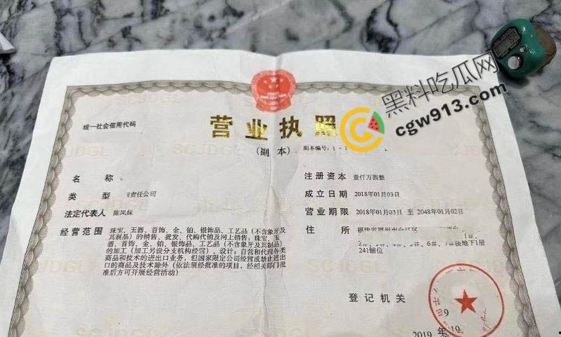 福建女总裁陈凤琴的淫荡人生：白天霸气总裁，晚上豪掷千金点男模陪玩，喜新厌旧，淫靡不堪  第1张