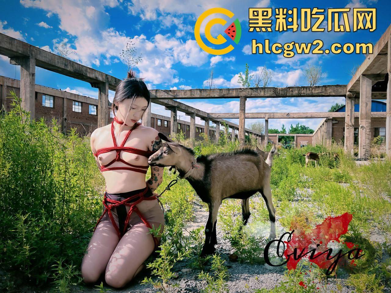 东北大神原创调教骚母狗！清纯舞蹈生反差婊一字马滴蜡撒尿，黑丝白虎嫩逼被后入爆操，插进去根本不想拔出来！  第7张