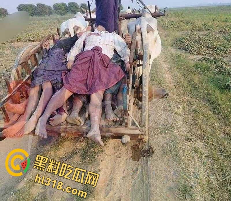 波及平民！死伤无数！缅甸内战的局势愈演愈烈，缅甸各方艰难达成停火协议 !  第4张