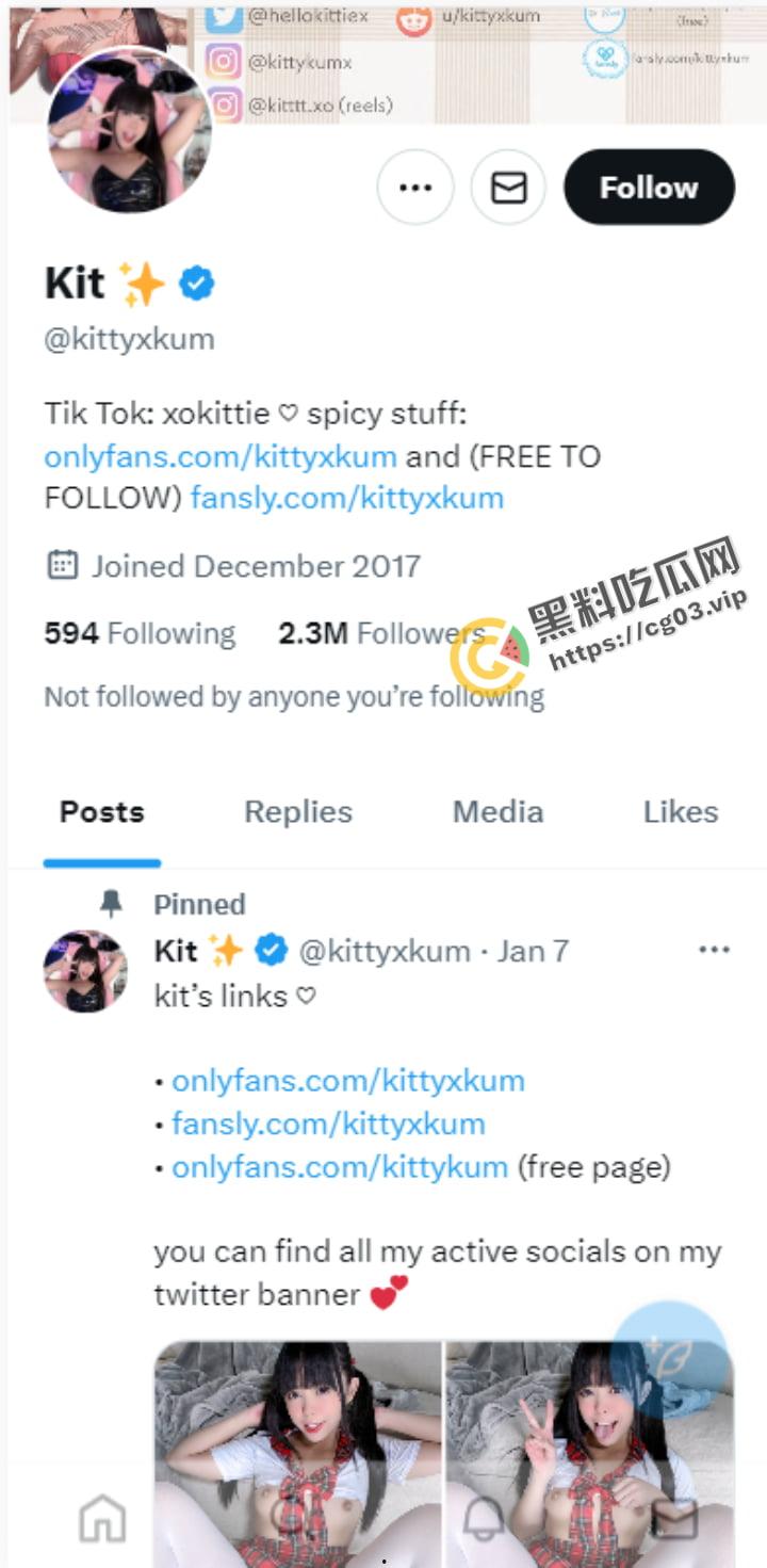 推特OF 两百万粉网黄博主淫乱萝莉【KittyXkum】11月最新付费福利  双马尾呆萌反差萝莉嫩妹！ 第1张