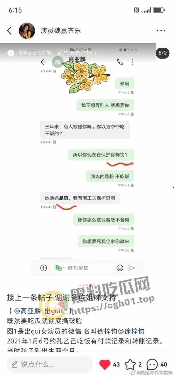 家有儿女【夏东海】出轨!扮演者【高亚麟】被妻子实锤出轨家暴 未删减实锤证据流出 第9张 家有儿女【夏东海】出轨!扮演者【高亚麟】被妻子实锤出轨家暴 未删减实锤证据流出 第9张