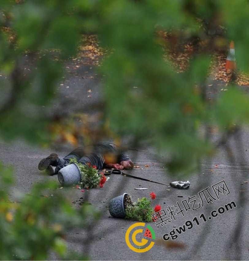 英国曼彻斯特犹太教堂持刀袭击事件：曼彻斯特希顿公园犹太会堂遭暴徒狂躁袭击，血腥惨剧惊天动地！  第2张