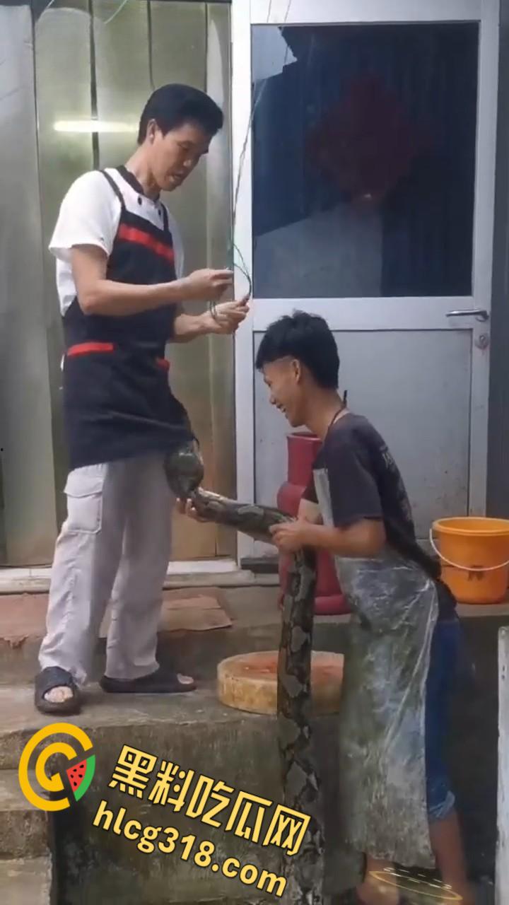 农夫徒手大战蟒蛇，54公斤巨型蟒蛇被活活打死，农户剥皮下锅做大补美食，场面血腥 ！  第4张