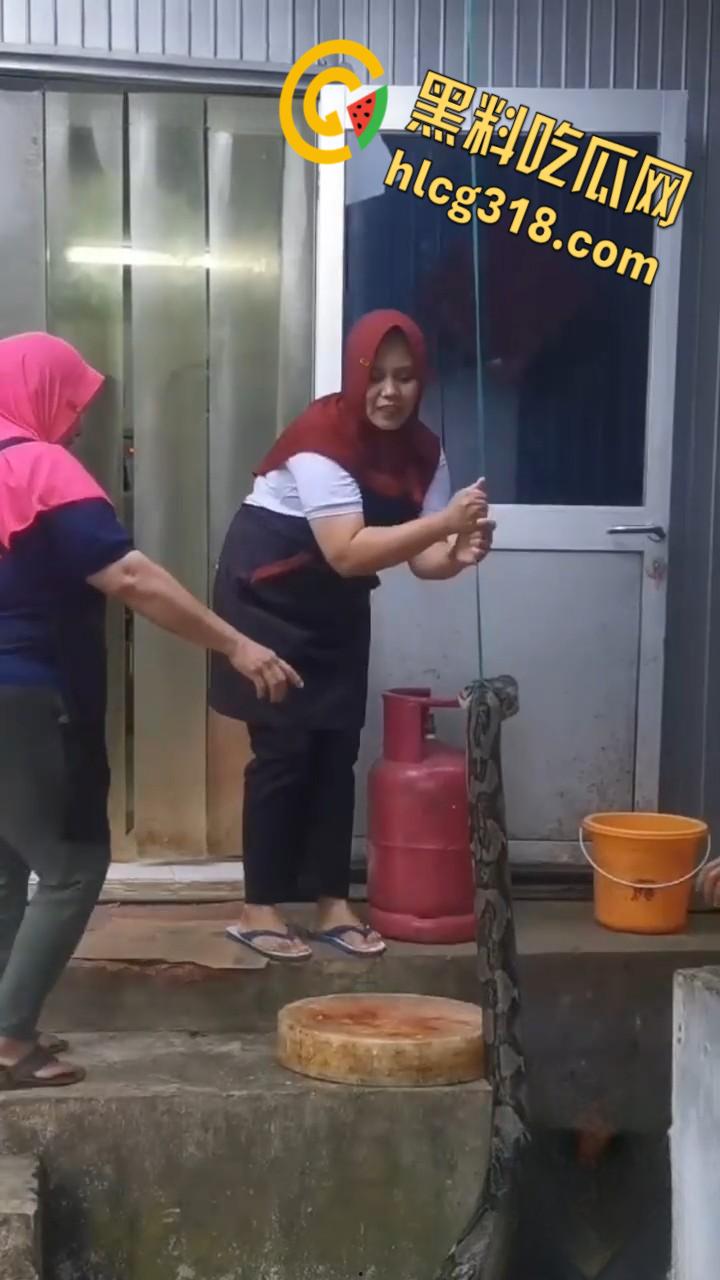 农夫徒手大战蟒蛇，54公斤巨型蟒蛇被活活打死，农户剥皮下锅做大补美食，场面血腥 ！  第5张