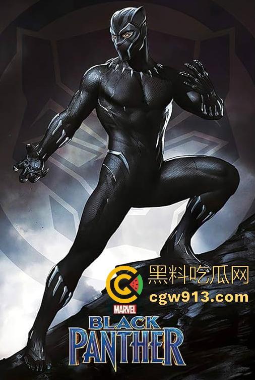 漫威超级英雄电影【黑豹】高清免费版,漫威经典之作,拿下奥斯卡多个大奖,很值得一看! 第3张 漫威超级英雄电影【黑豹】高清免费版,漫威经典之作,拿下奥斯卡多个大奖,很值得一看! 第3张