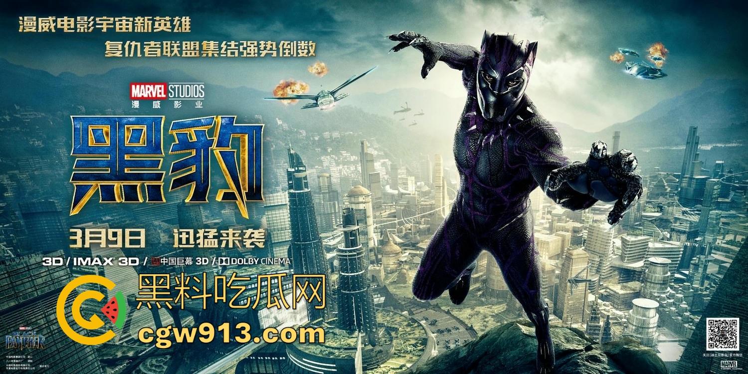 漫威超级英雄电影【黑豹】高清免费版,漫威经典之作,拿下奥斯卡多个大奖,很值得一看! 第4张 漫威超级英雄电影【黑豹】高清免费版,漫威经典之作,拿下奥斯卡多个大奖,很值得一看! 第4张