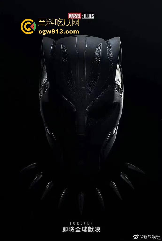漫威超级英雄电影【黑豹】高清免费版,漫威经典之作,拿下奥斯卡多个大奖,很值得一看! 第5张 漫威超级英雄电影【黑豹】高清免费版,漫威经典之作,拿下奥斯卡多个大奖,很值得一看! 第5张