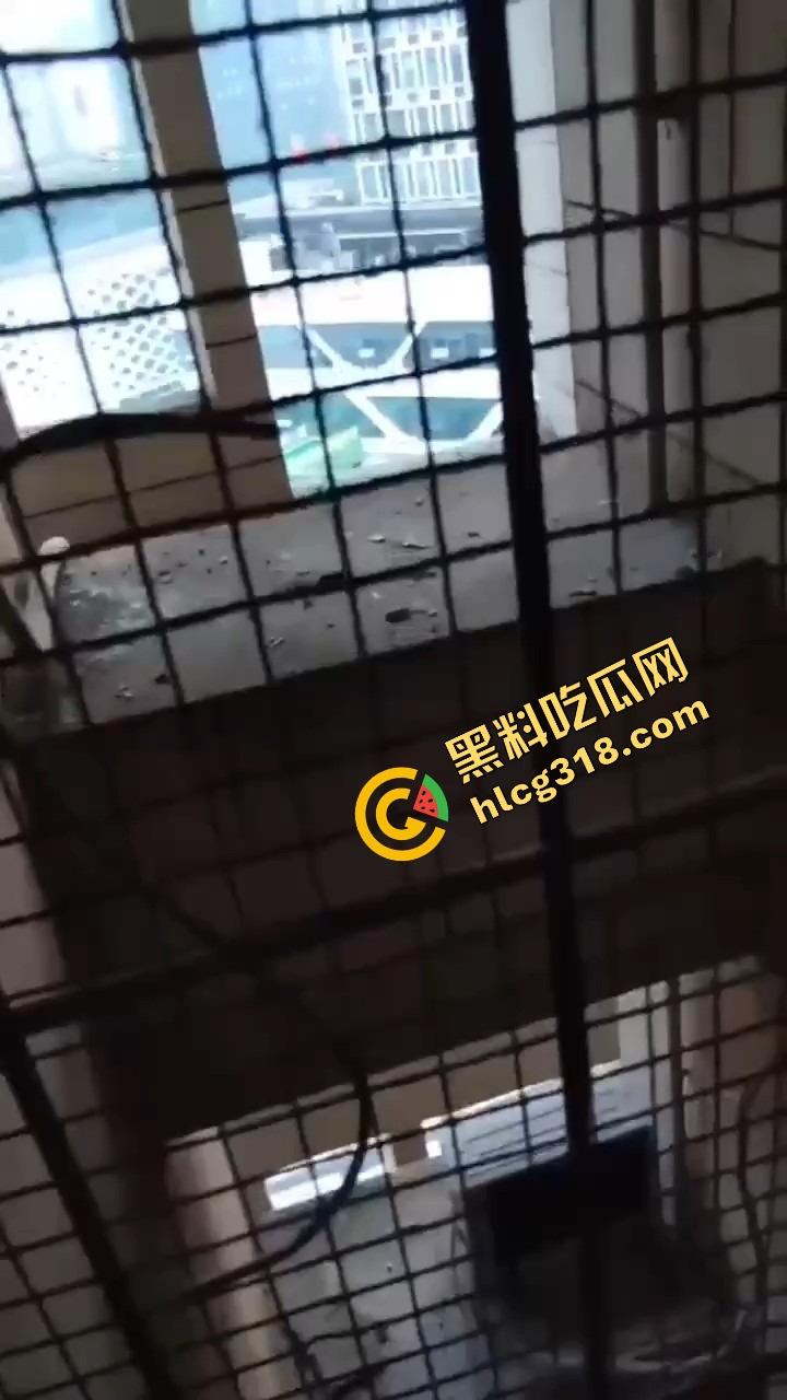 潍坊住户天天叫小姐，夜夜啪啪震天响，大半夜高潮惨叫像杀人，住户忍无可忍拍视频发物业群！  第5张