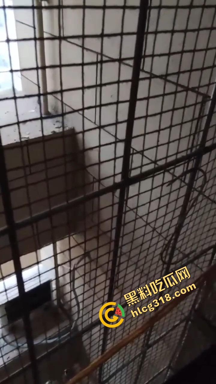 潍坊住户天天叫小姐，夜夜啪啪震天响，大半夜高潮惨叫像杀人，住户忍无可忍拍视频发物业群！  第8张