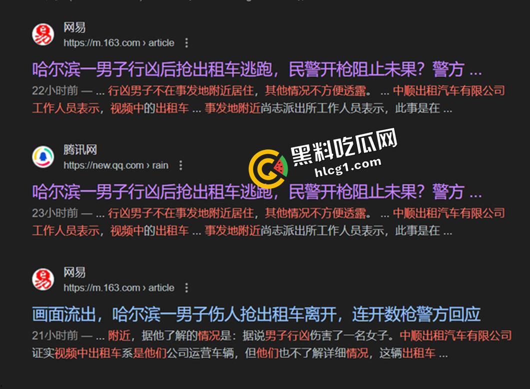 哈尔滨中央大街枪击事件!男子持刀劫人抢车 警察连开五枪未能制服 现场视频流出 第6张 哈尔滨中央大街枪击事件!男子持刀劫人抢车 警察连开五枪未能制服 现场视频流出 第6张