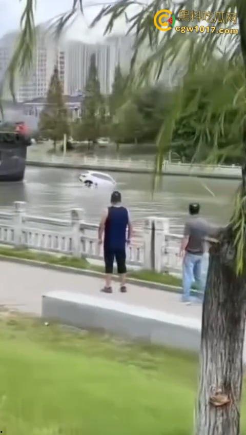 丹阳女司机油门当刹车，车子冲破栏杆栽进九曲河，幸好车窗围观女司机命大脱险，惊魂未定一出湿身戏！  第4张