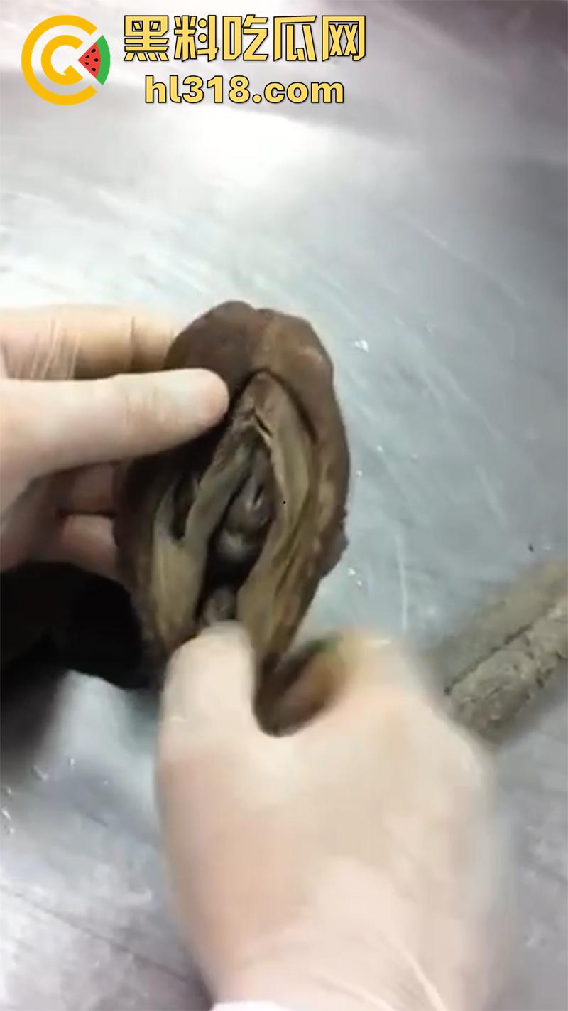 真实西藏密宗法器“肉莲花”，少女被108罗汉轮奸后，五毒侵蚀九蒸九炼，活体切割才可肉莲大成！  第1张