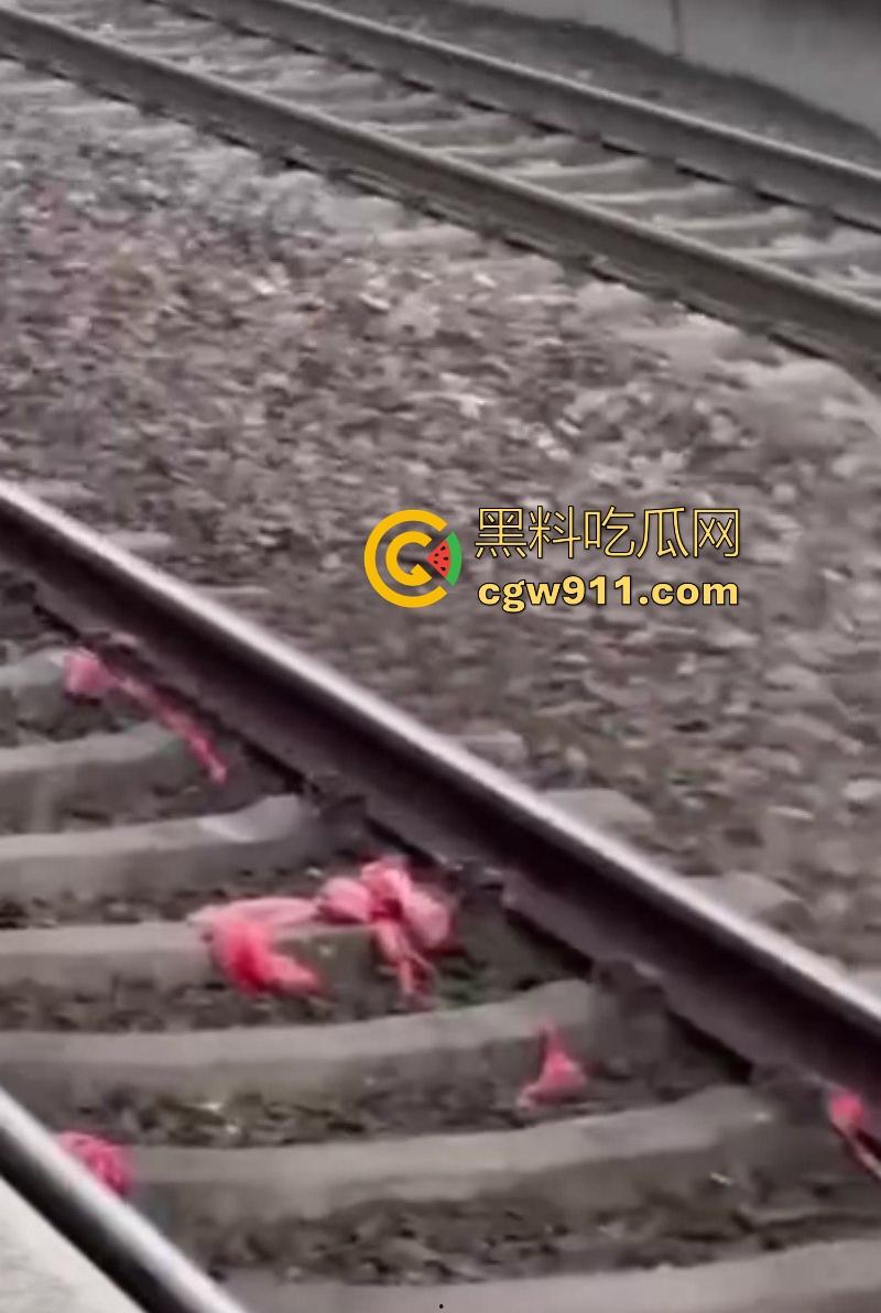海外男子站台裸奔自杀,下定决心跳轨被火车碾压,身体碎片散落满地,画面血腥胆小勿入! 第5张 海外男子站台裸奔自杀,下定决心跳轨被火车碾压,身体碎片散落满地,画面血腥胆小勿入! 第5张