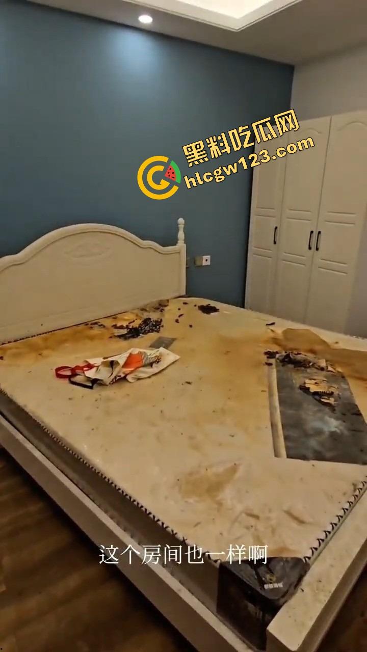 仙女撤退不带走一片云彩，丝袜满地开花，蟑螂拖家带口，这是租房？还是考古挖掘人类退化遗迹？  第17张