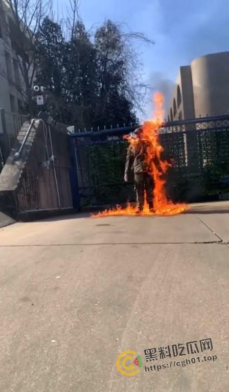 美国空军在以色列大使馆前自焚！临死前高呼不做种族灭绝的同谋 是英雄还是极端分子？  第4张