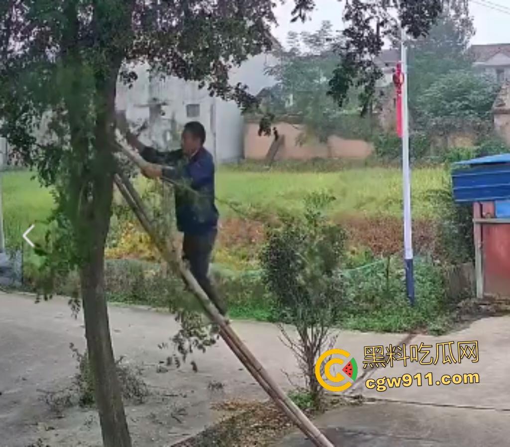 大爷作死上树砍枝惨摔内伤！年过半百爬木梯伐树，树枝滑落砸翻落地，这才是真伐木累，痛到怀疑人生！  第1张